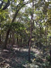 教室再開のお知らせ