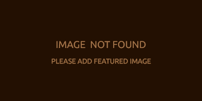 赤ちゃんからの愛情