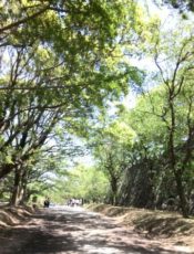 春のこどものきもち