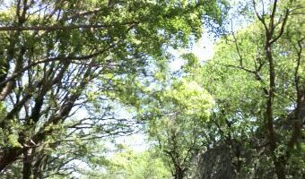 春のこどものきもち