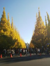 2017年　ありがとうございました