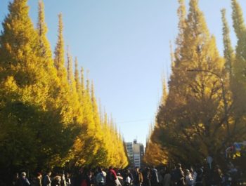 2017年　ありがとうございました