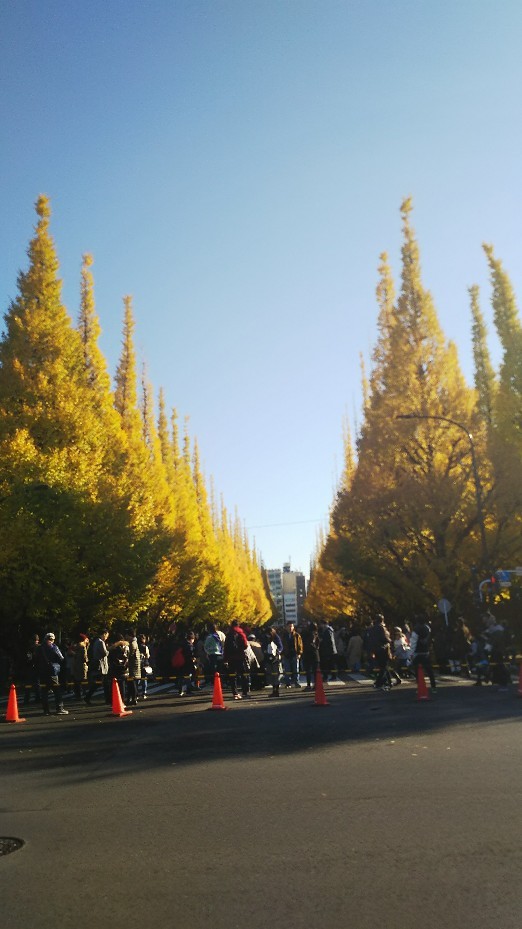 2017年　ありがとうございました