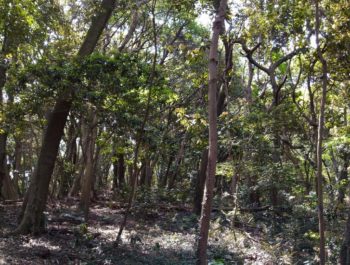 教室再開のお知らせ