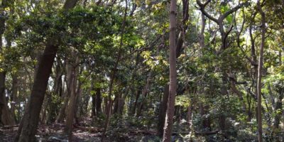 教室再開のお知らせ