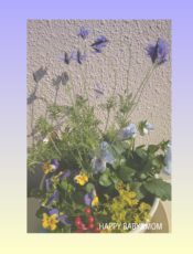 Happy❤︎Holiday2021