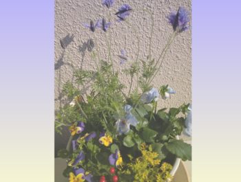 Happy❤︎Holiday2021