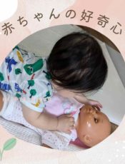 触れ合うと赤ちゃんの世界が広がります